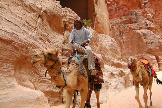 Aqaba Shore Excursion: Private Petra Sightseeing Tour with Lunch - From Aqaba port to Petra through Jordan’s south