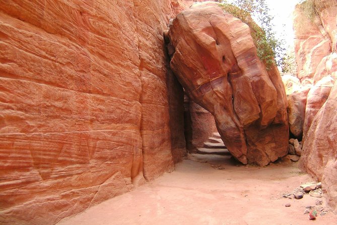 Aqaba Shore Excursion: Private Petra Sightseeing Tour with Lunch - The Treasury, tombs, amphitheater, and Roman street