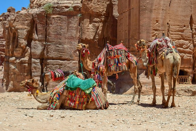 Aqaba Shore Excursion: Private Petra Sightseeing Tour with Lunch - Entering Petra through the Siq
