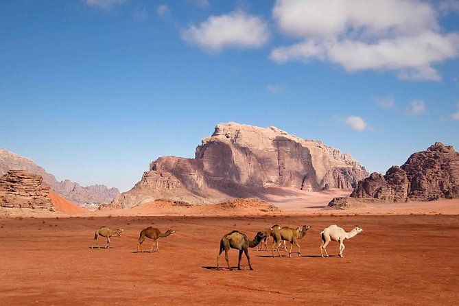 Best of Jordan Tour Amman Petra and Dead Sea with Camping at Wadi Rum - Day 6: An unhurried final day in Amman