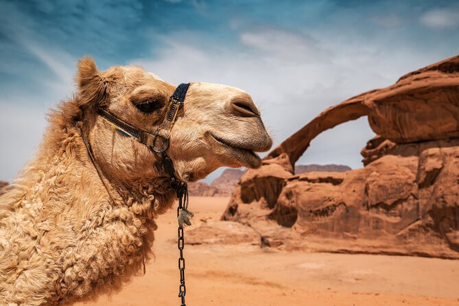 Best of Wadi Rum | Full day Jeep tour + Sleep under the stars | Pack all-in - Khazali Canyon and the closer rock formations