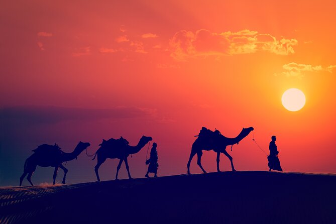 Best of Wadi Rum | Full day Jeep tour + Sleep under the stars | Pack all-in - Sunset, dinner, and a night outdoors