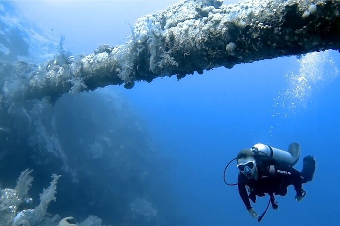Boat Dive 2 Guided Dives with Lunch Included wreck dive&reef dive - Two underwater worlds in one Aqaba outing