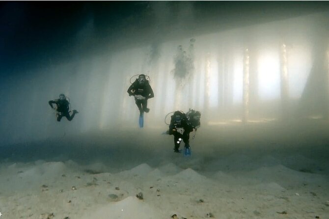 Boat Dive 2 Guided Dives with Lunch Included wreck dive&reef dive - The wreck site: atmosphere below the boat