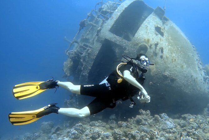 Boat Dive 2 Guided Dives with Lunch Included wreck dive&reef dive - Equipment, instruction, and the first-time question