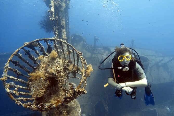 Boat Dive 2 Guided Dives with Lunch Included wreck dive&reef dive - Boat size, group size, and personal attention