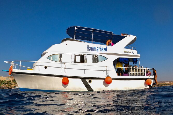 Boat Dive 2 Guided Dives with Lunch Included wreck dive&reef dive - What the six-hour schedule feels like