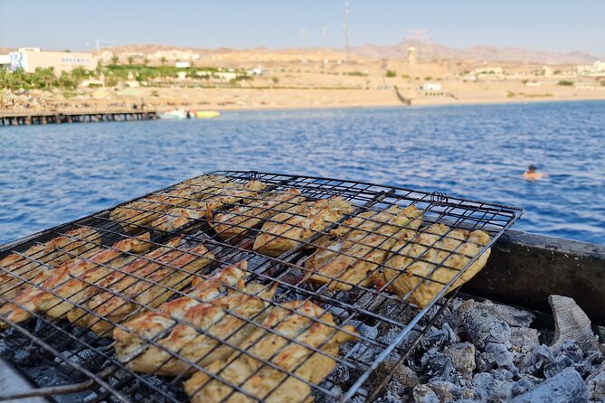 Boat Dive and Snorkeling Experience in Aqaba - Key points to know before booking