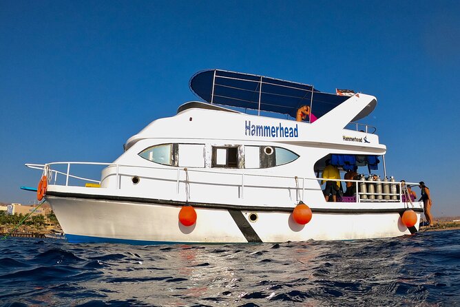 Boat Dive and Snorkeling Experience in Aqaba - Two Red Sea stops, two different ways to see Aqaba