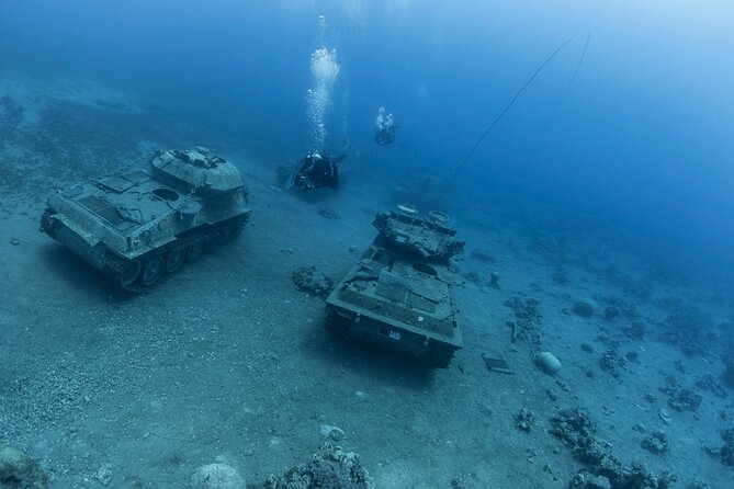 Boat Dive and Snorkeling Experience in Aqaba - The snorkel stop and the marine life