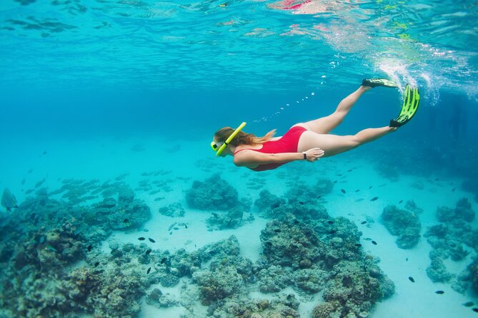 Boat Dive and Snorkeling Experience in Aqaba - Lunch on board keeps the day easy
