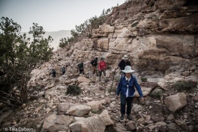 Dana to Petra Trek + Wadi Rum & the Dead Sea – 9 Days