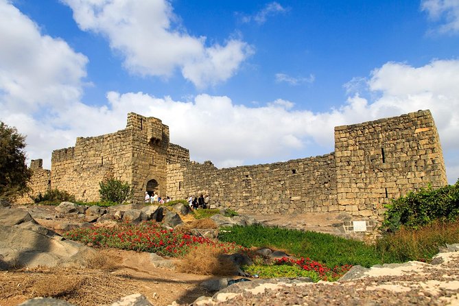 Day Tour Desert Castles & Azraq Wetland Reserve - Azraq Wetland Reserve, water in a dry country