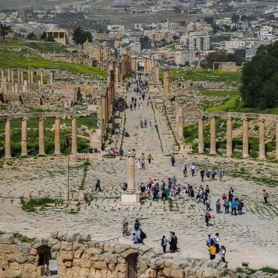 Day Tour Jerash - Ajloun and Um Qais From Amman - Why this northern Jordan day works so well