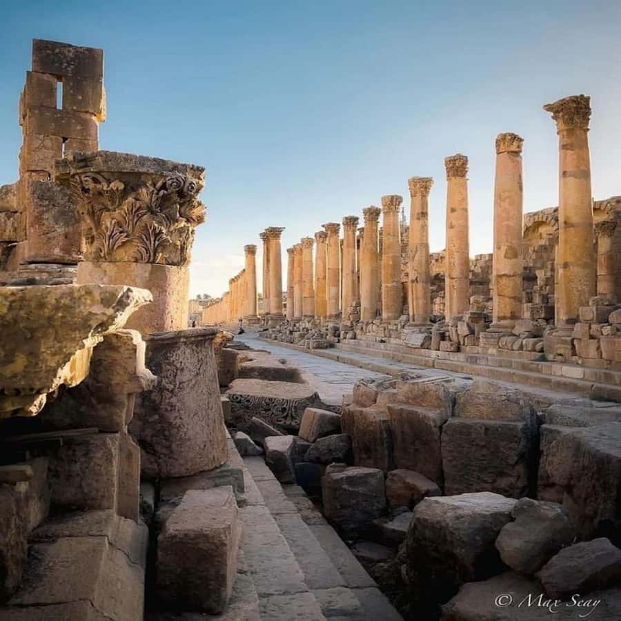 Day Tour Jerash - Ajloun and Um Qais From Amman - Ajloun Castle: a compact fortress in the hills