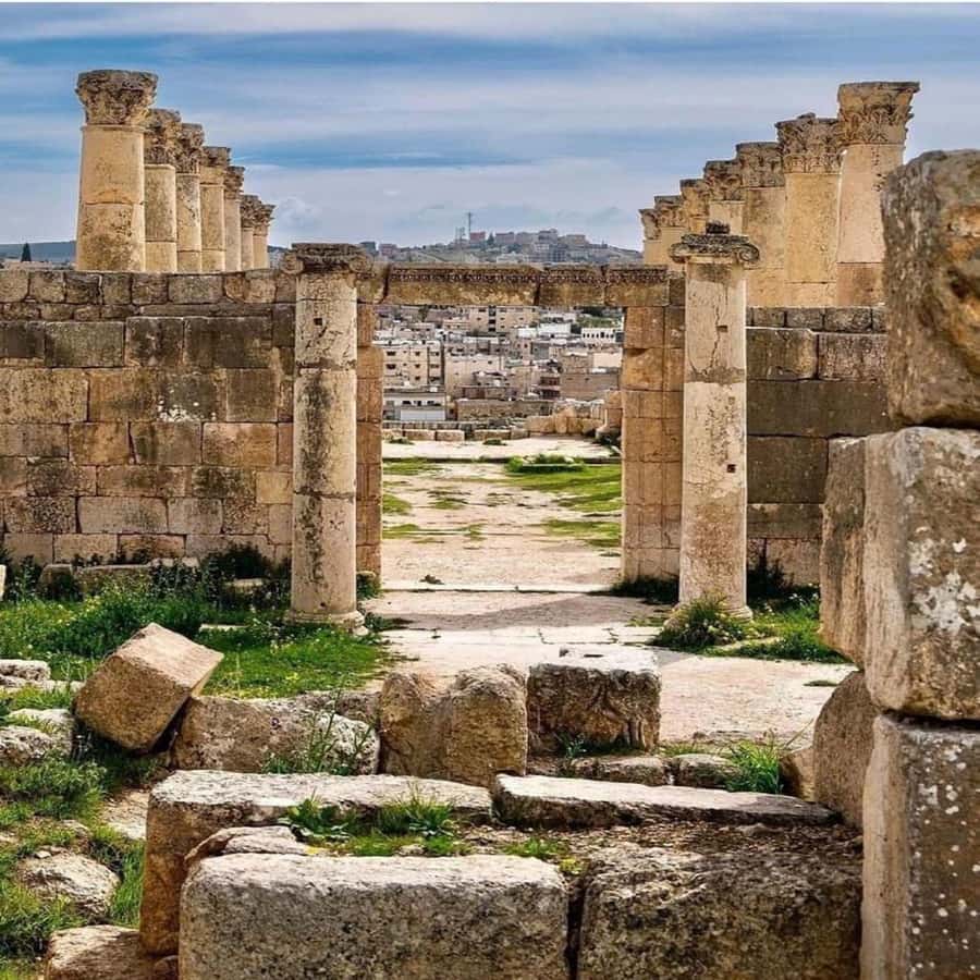 Day Tour Jerash - Ajloun and Um Qais From Amman - The driver experience: where this tour earns its keep