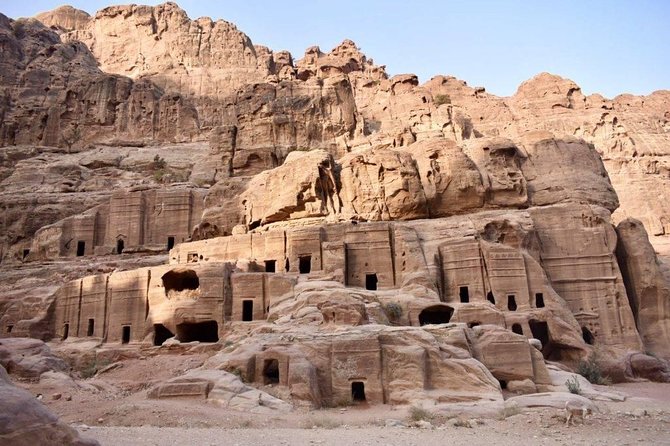 Day Tour to Petra from Amman - Timing, weather, and the return to Amman