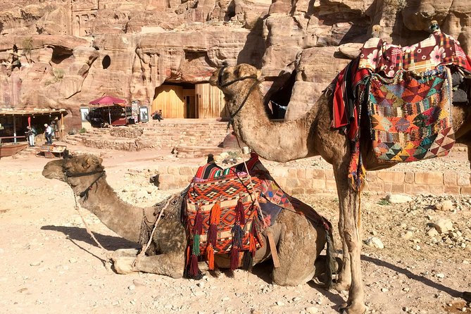 Day Tour to Petra from Aqaba - Key points to know before booking