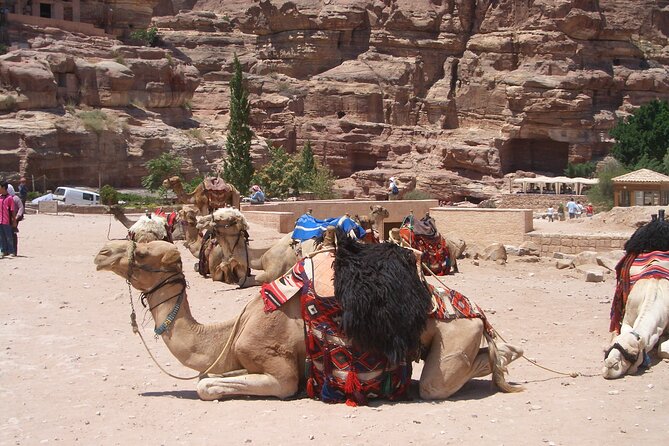 Day Tour to Petra from Dead Sea with lunch - From the Street of Facades to Qasr Al Bint