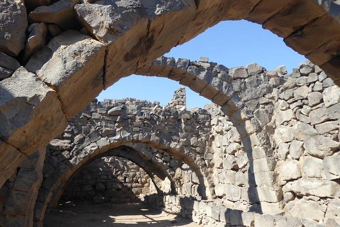 Desert Castles of Jordan Private Full-Day Tour from Amman - Who will get the most from this outing
