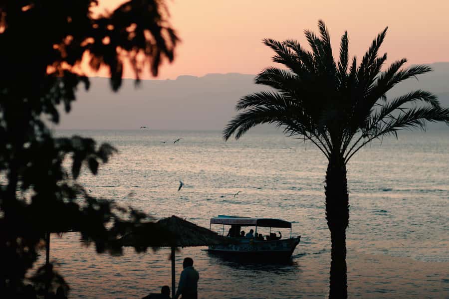 Discover Aqaba in Style: A 3-h City Tour by Car with meal - Red Sea views and the drive toward Tala Bay