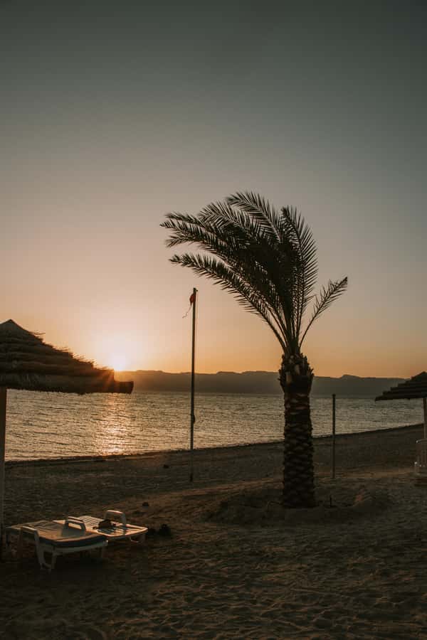 Discover Aqaba in Style: A 3-h City Tour by Car with meal - Visiting a mosque with care