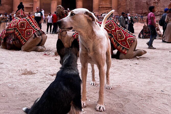 Discover Petra Hidden Gems - Ancient castles, churches, and burial chambers