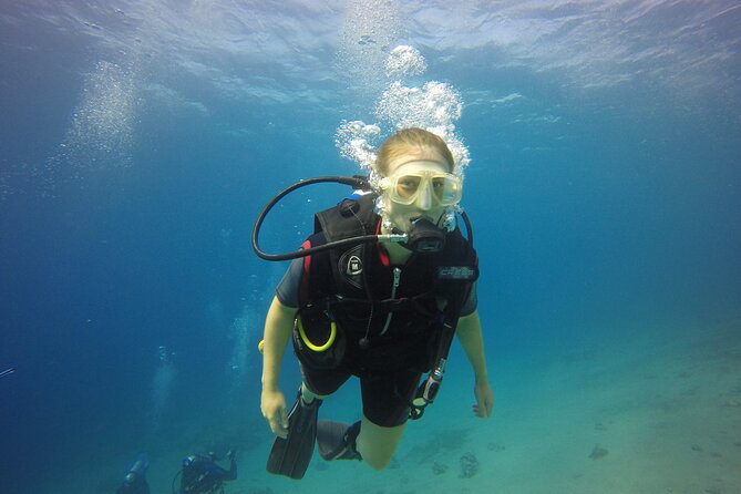 Discover the Depths: Aqaba's Ultimate private Dive Experience - Key points at a glance