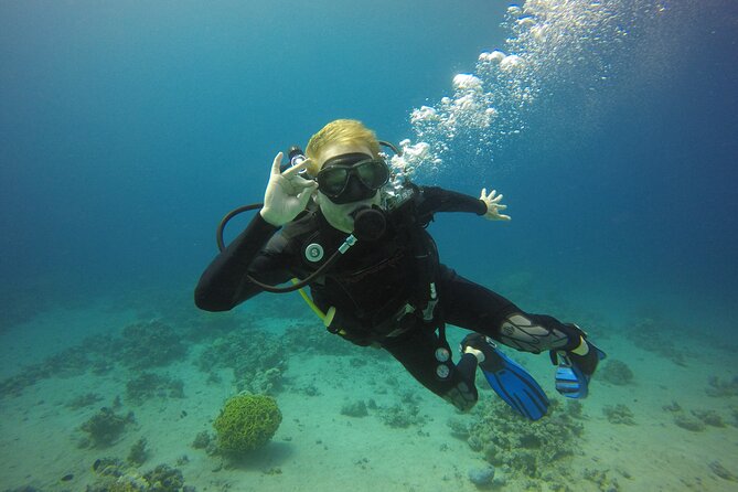 Discover the Depths: Aqaba's Ultimate private Dive Experience - Preparing for your first underwater session