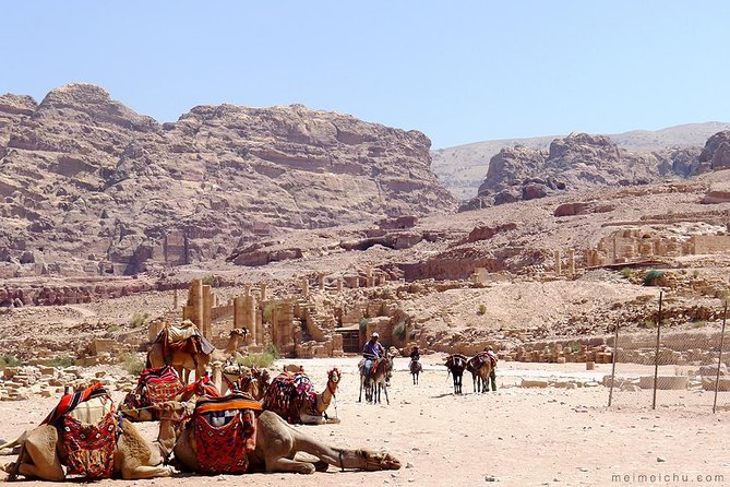 Experience Petra & Wadi Rum in One Day From Amman - Two hours by Jeep in the Valley of the Moon