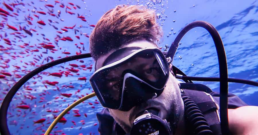 Explore Aqaba's Depths: Scuba Diving Tour, with Hotel Pickup - Should you book Dive With Zee?