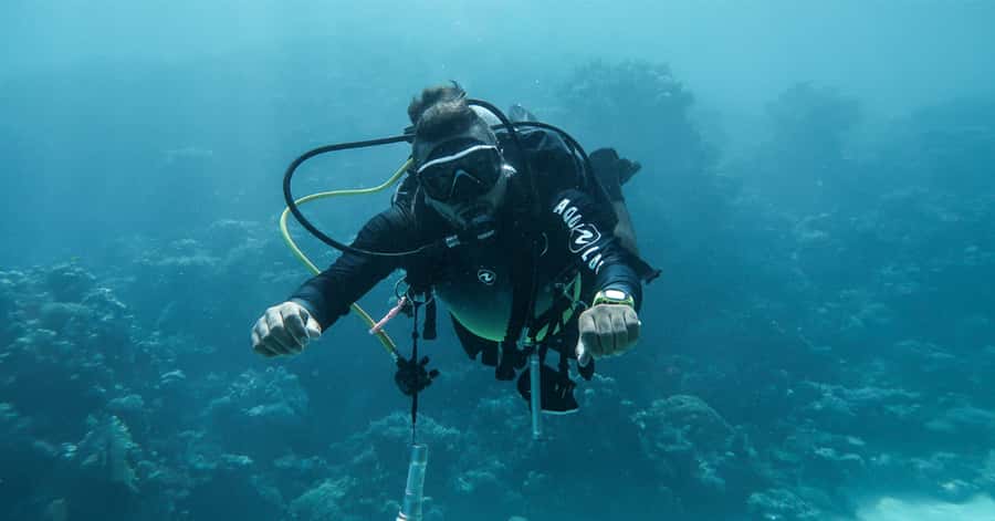 Explore Aqaba's Depths: Scuba Diving Tour, with Hotel Pickup - From Aqaba to South Beach in 20 minutes
