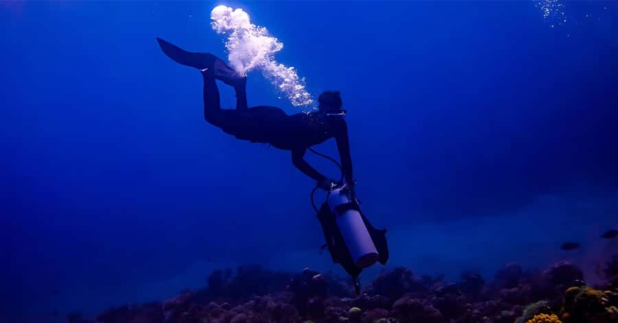 Explore Aqaba's Depths: Scuba Diving Tour, with Hotel Pickup - South Beach safety briefing and short class