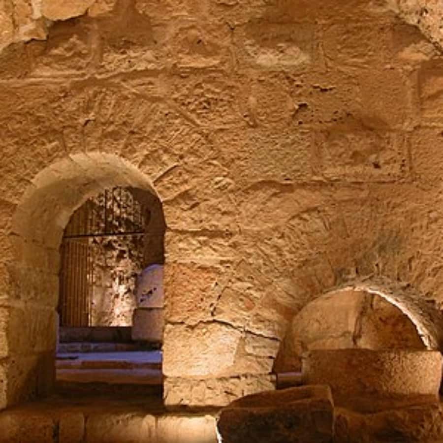 Explore Northern Jordan:Amman to Jerash, Ajloun,and Umm Qais - Who should book this Northern Jordan tour