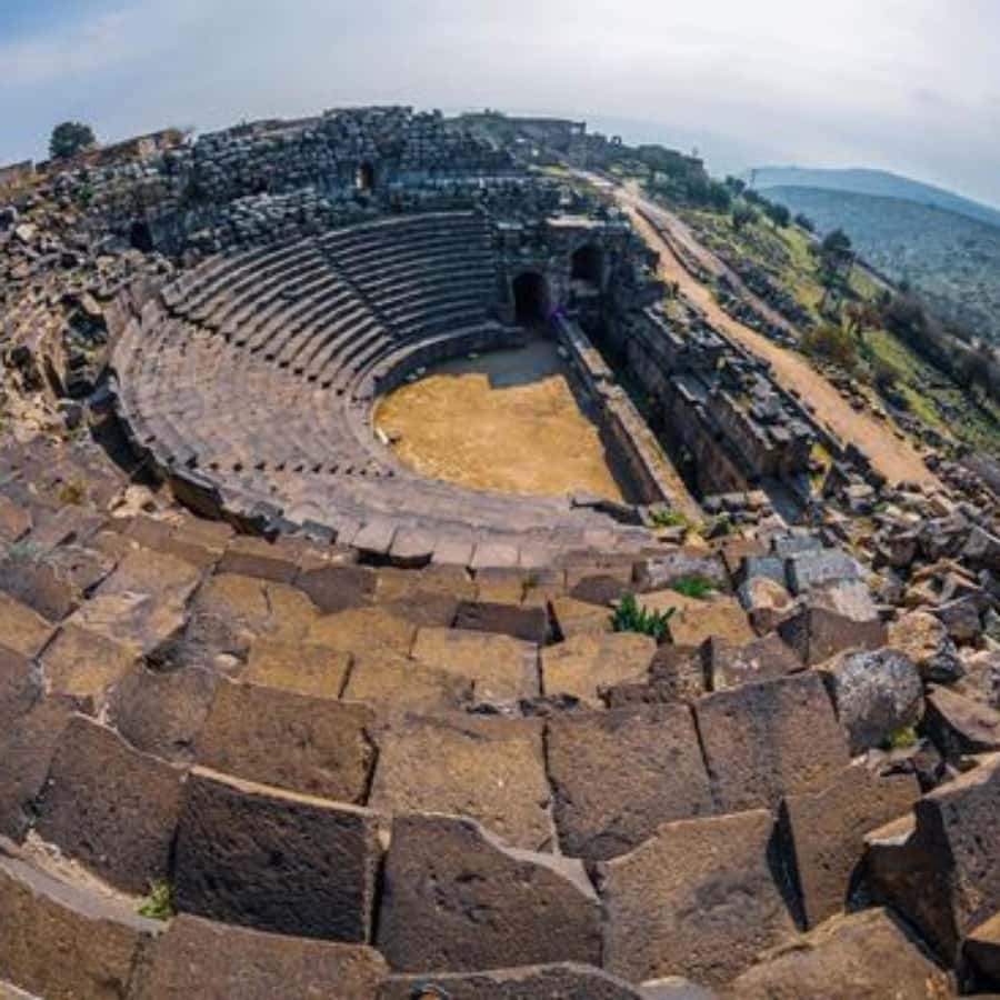 Explore Northern Jordan:Amman to Jerash, Ajloun,and Umm Qais - Is it worth booking?