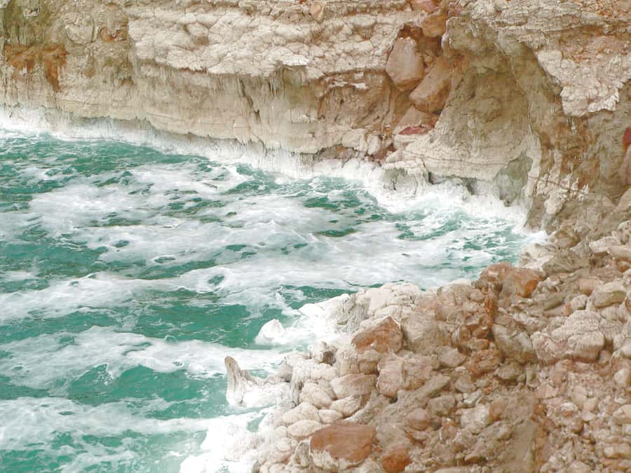 From Amman: 5-Hour Dead Sea Experience with Lunch & Return - A private ride with help at the resort
