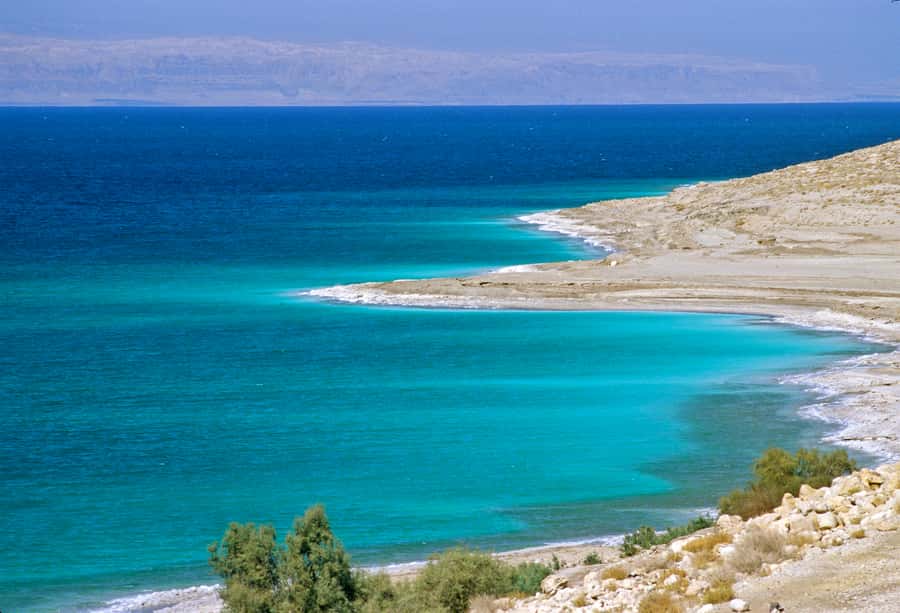 From Amman: 5-Hour Dead Sea Experience with Lunch & Return - The black mud ritual