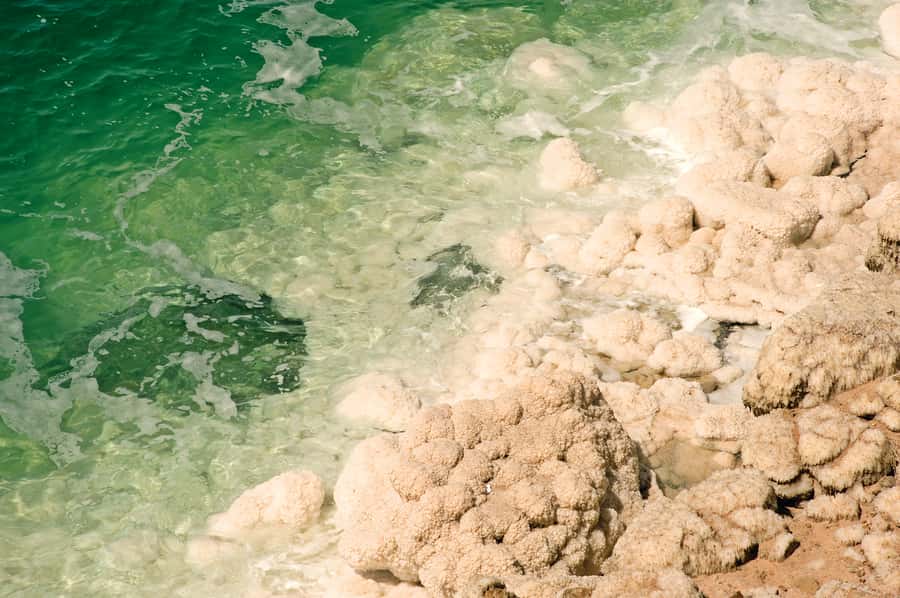 From Amman: 5-Hour Dead Sea Experience with Lunch & Return - Lunch and the rhythm of the day