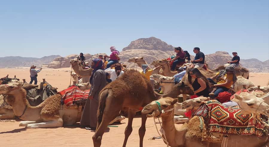 From Amman/Airport: 3-Night Private Jordan Special Tour - Key points to know before booking