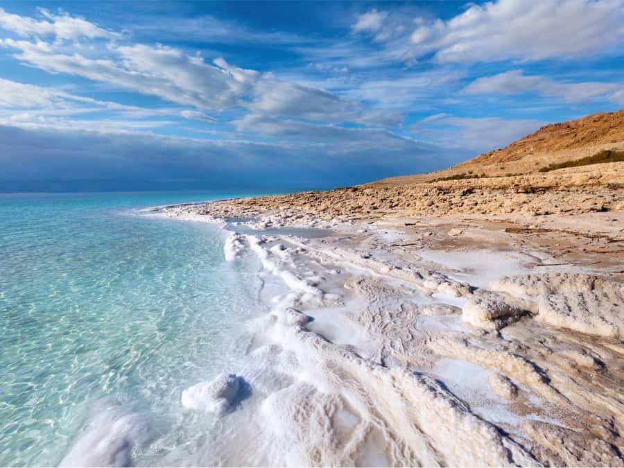 From Amman: Dead Sea 5-Star Resort Day Trip with Lunch - Key points to know before you book