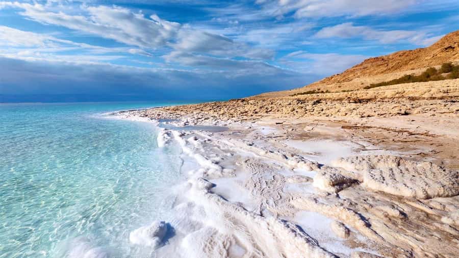 From Amman: Dead Sea 5-Star Resort Day Trip with Lunch - Why this Dead Sea day trip works well from Amman