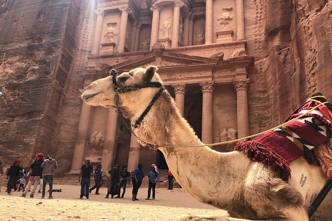 From Amman | Dead sea and Petra in one day | Admission Fees Included - Floating at the Dead Sea for two to three hours