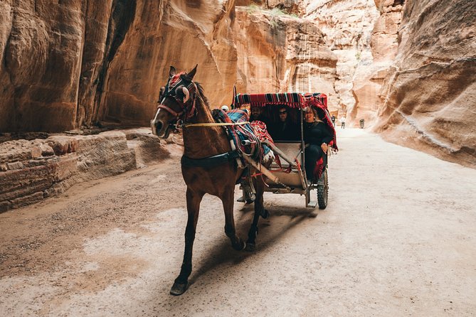 From Amman | Dead sea and Petra in one day | Admission Fees Included - Is $450 a fair price?