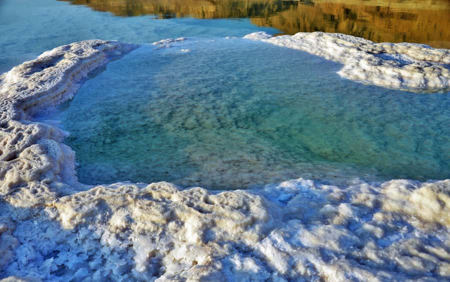 From Amman: Dead Sea and Wadi Mujib Trail Full-Day Tour - Who should book this day?