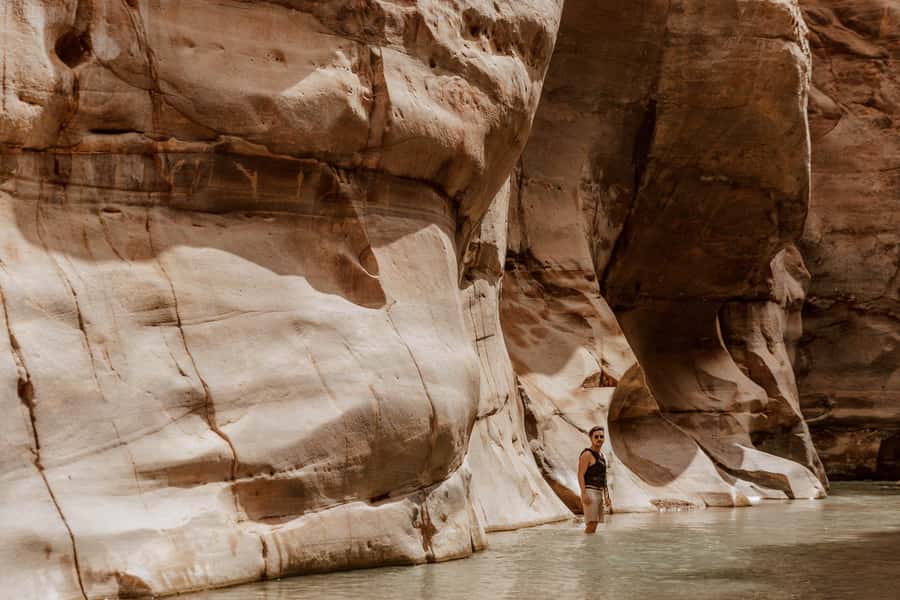 From Amman: Dead Sea and Wadi Mujib Trail Full-Day Tour - What the $88 price really offers