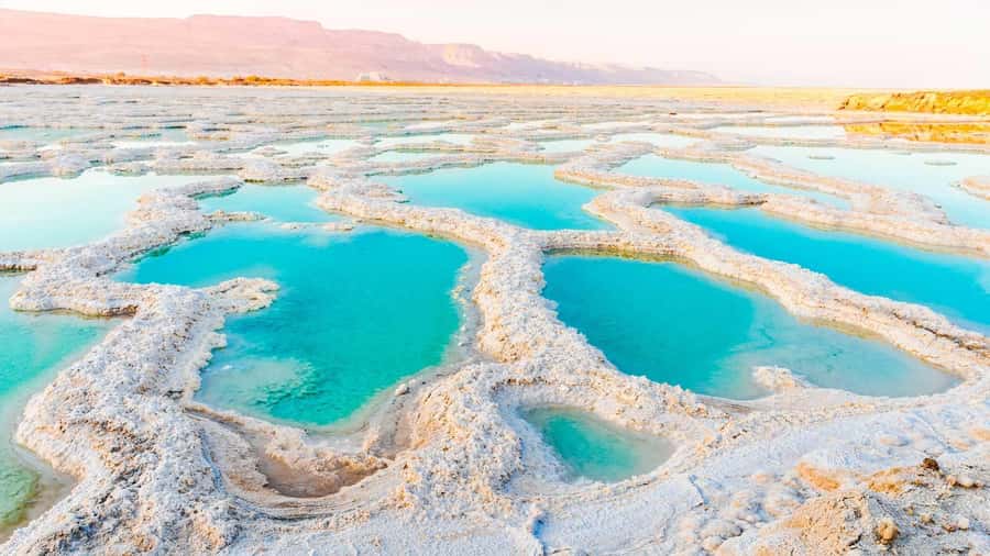 From Amman: Dead Sea and Wadi Mujib Trail Full-Day Tour - The private format and guide quality