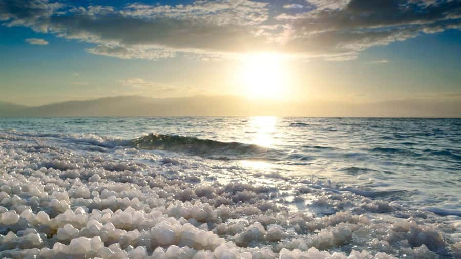 From Amman: Dead Sea, Mt Nebo, Madaba, Baptism full day trip - Timing, comfort, and who should book
