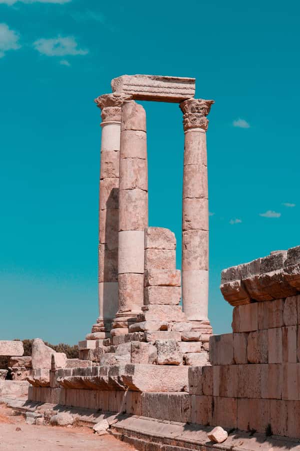 From Amman: Full day Jerash and Amman city Tour - What your driver adds to the day