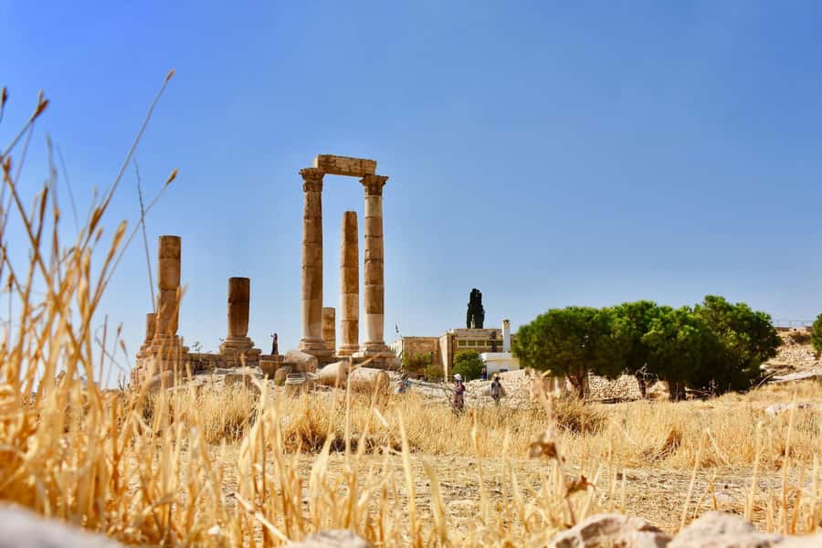 From Amman: Full day Jerash and Amman city Tour - Is $80 good value for a private day?