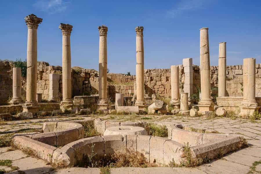 From Amman : Full day tour - Jerash and the Dead sea. - Why this Amman day trip works